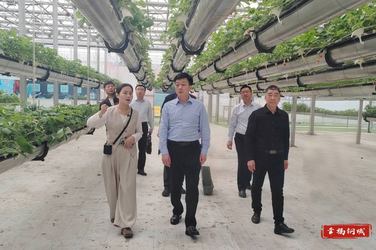 程學鋒帶隊到臨沂市考察洽談招商引資項目